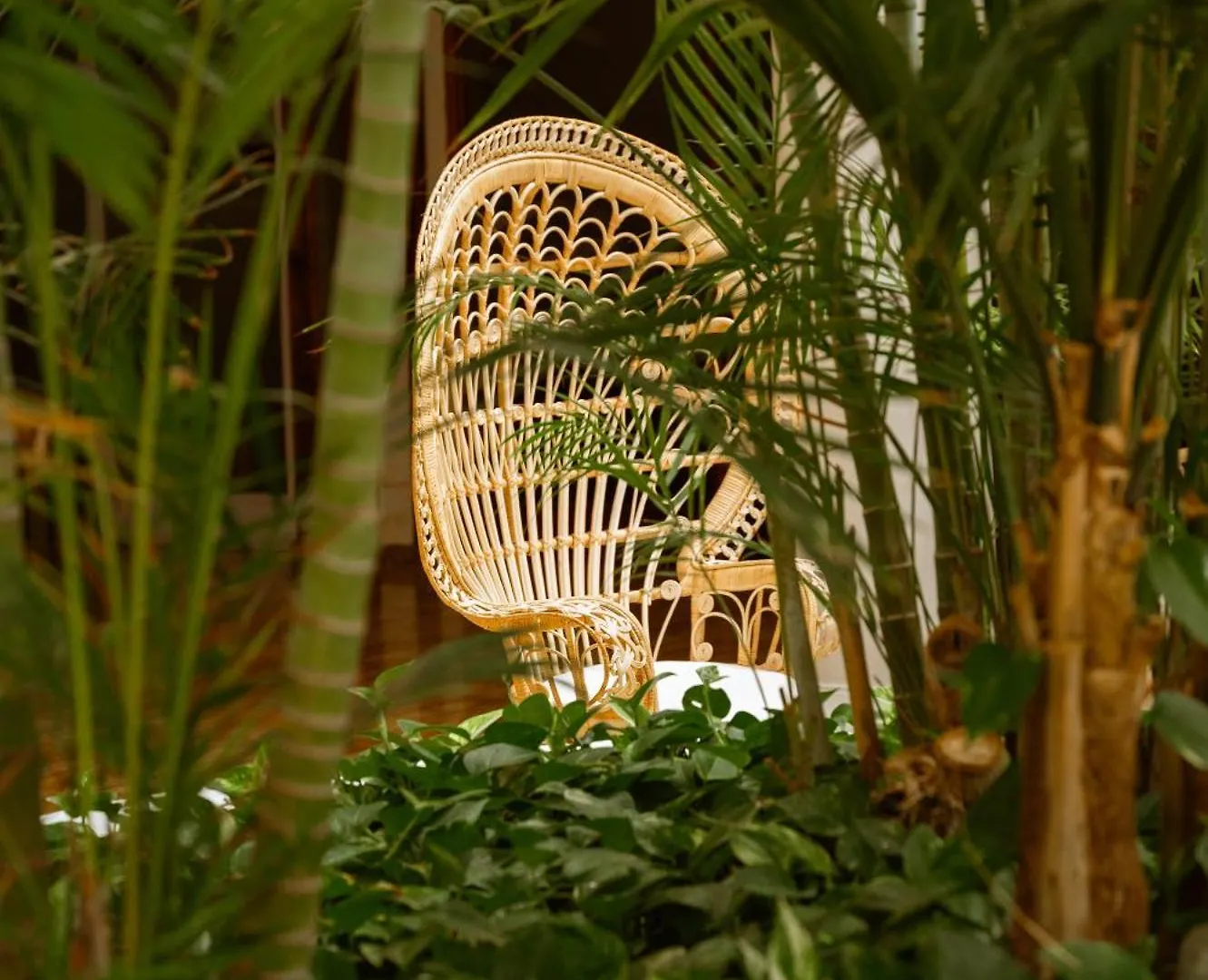 Precise Resort Tenerife Puerto de la Cruz  Hotel